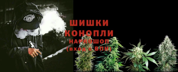сатива Абдулино