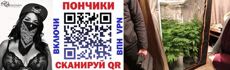 Шишки марихуана гибрид  Вытегра 